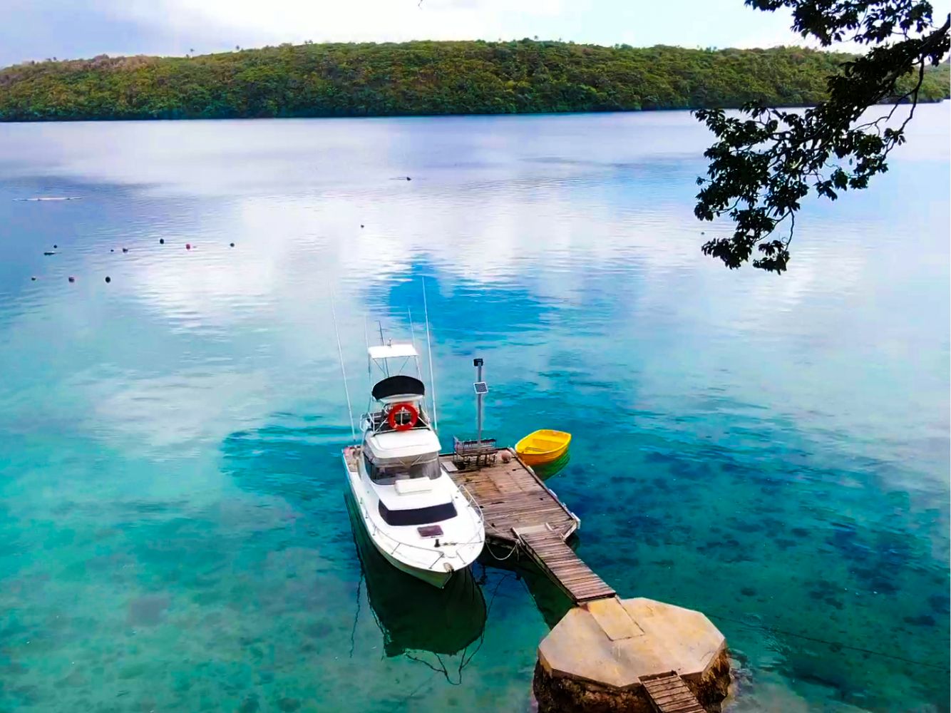 Billfish accommodation in Vavau